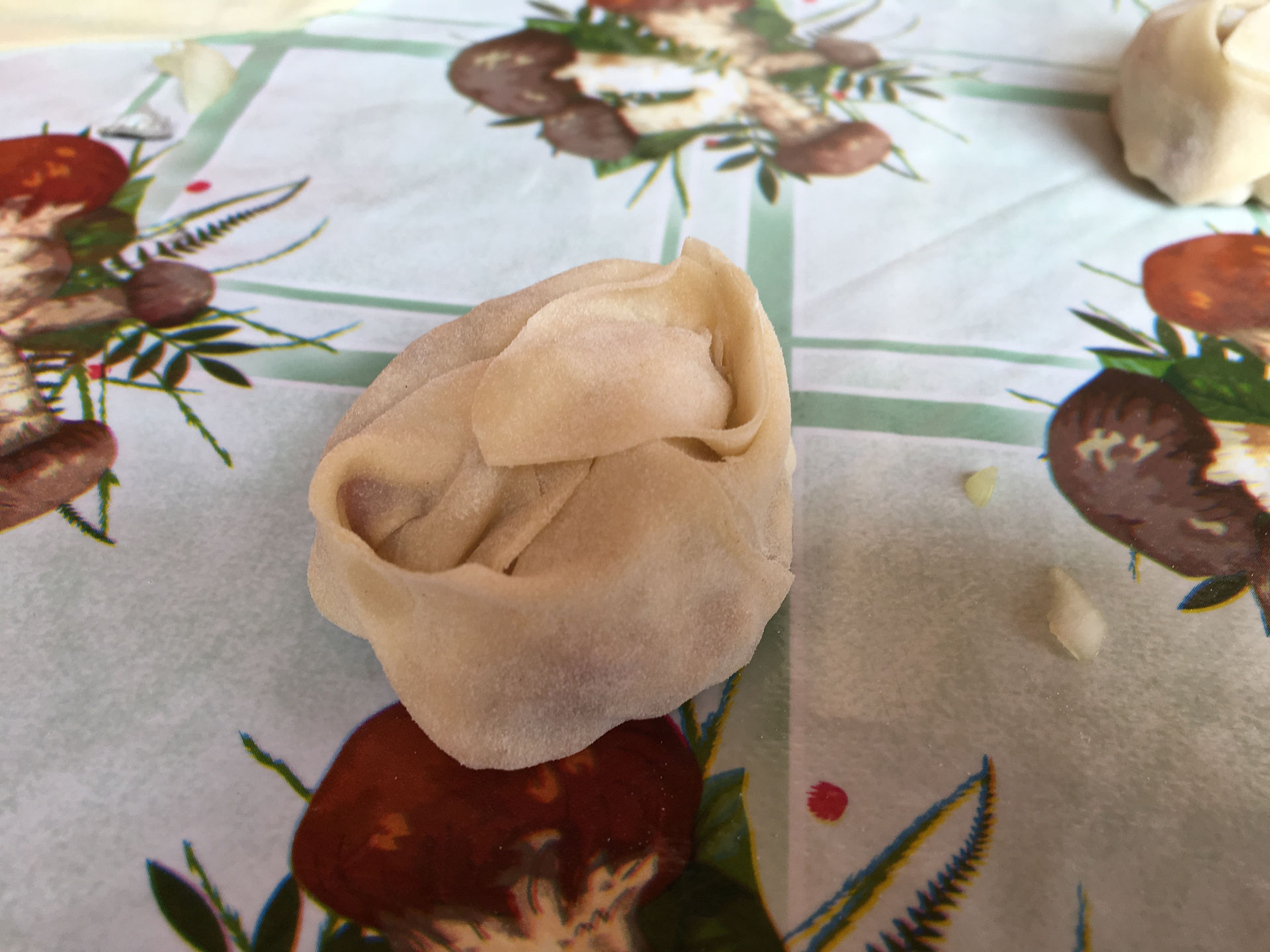 Up-close shot of ~Mantu~