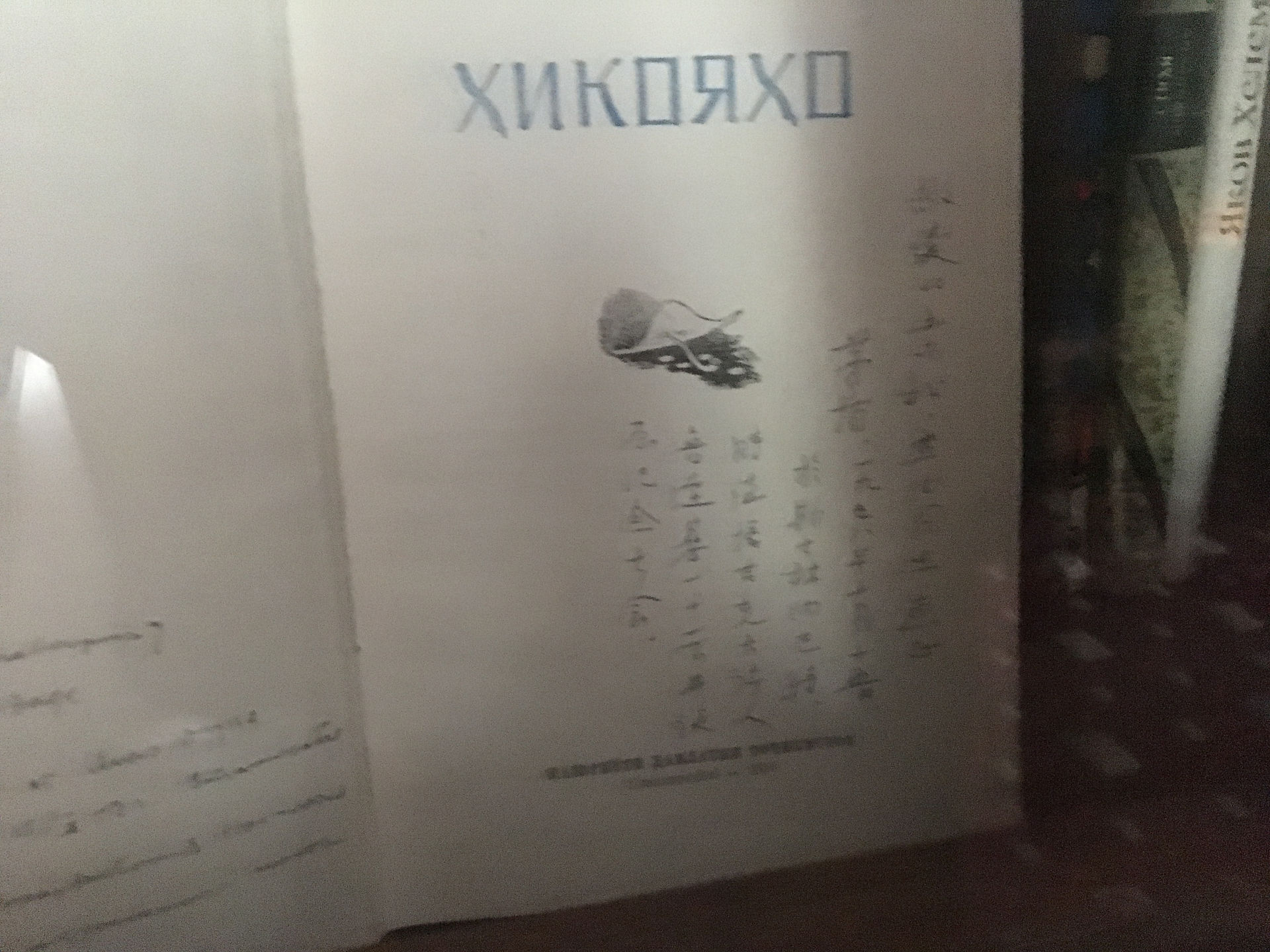a book from a Chinese diplomat (?)