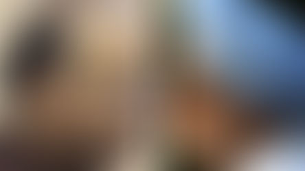 MANMOHAN CALLS THE NOTE BAN AS 'ORGANIZED LOOT'