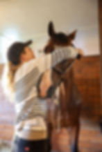 Pam_grooming_Elliott