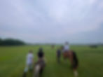 IMG_2165.jpeg