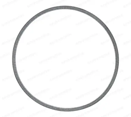 Gaskets ENV-G-1063AM