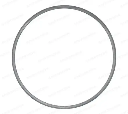 Gaskets ENV-G-1053AM