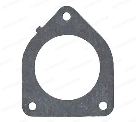 Gaskets ENV-GF-1102AM