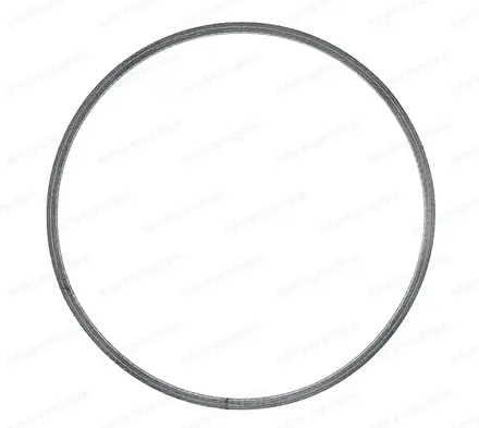 Gaskets ENV-G-1060AM