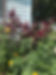 AFD50F12-C0EE-457A-82BC-EF871209CB8C.jpe