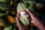 AdobeStock_473647689 (1).jpeg