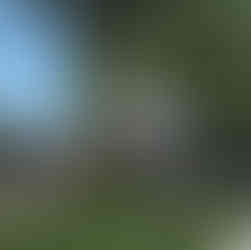 Sangiovese Residencial