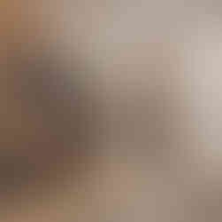 New Garden Decorado 2