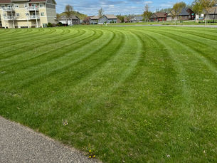 Uncovering the Benefits of Hiring an Outdoor Services Professional for Your Property