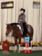 2020 mare by One Special Asset