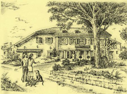 Hôtel Glanis in Gland, Switzerland