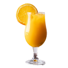 Fresh Squeezed Orange Juice