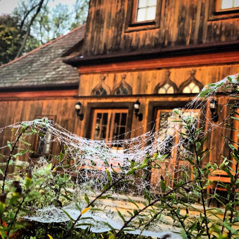 Sesje Esencji Chwil. „Dworek na Podlasiu".