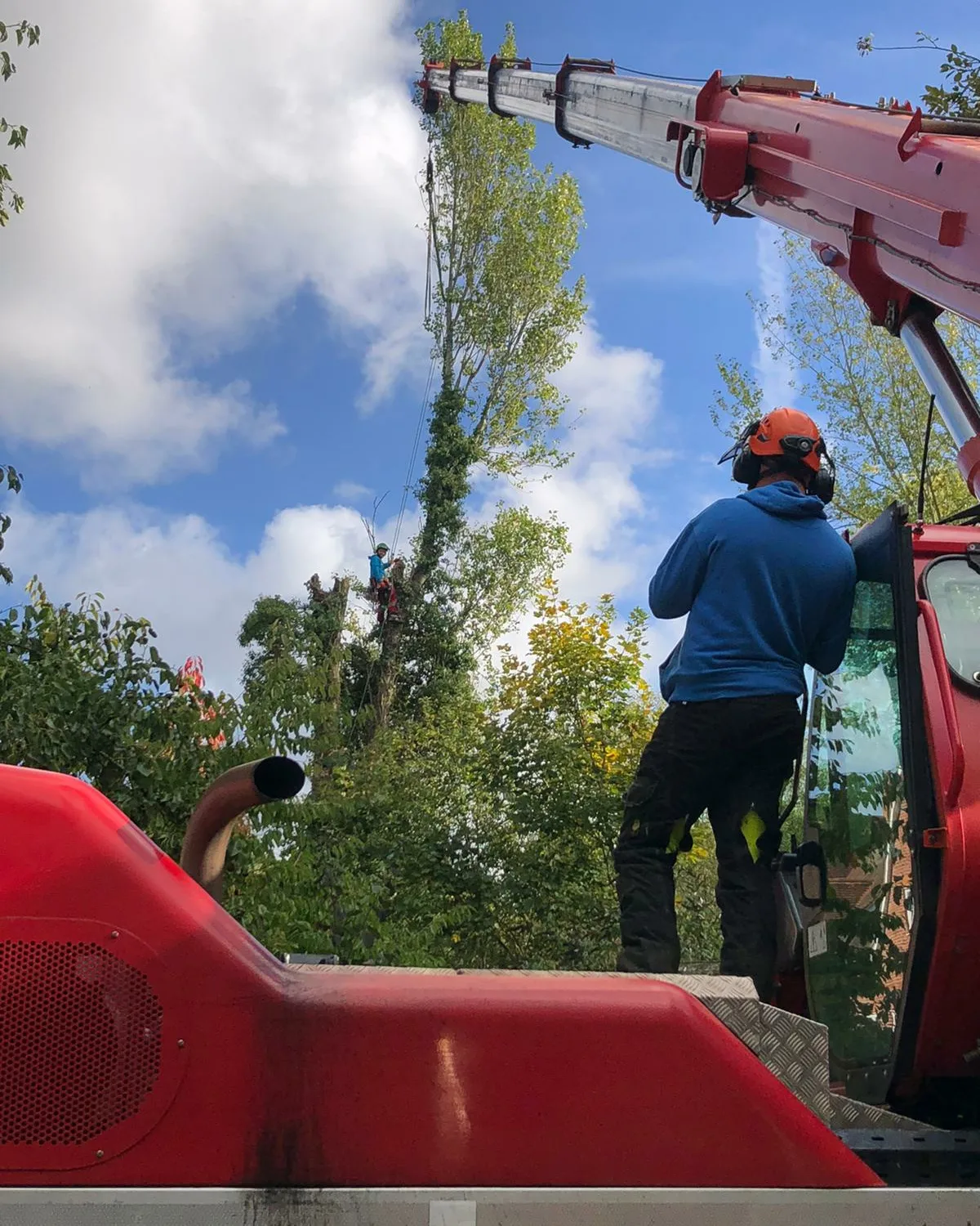 Tree Surgeon Abingdon, Oxfordshire