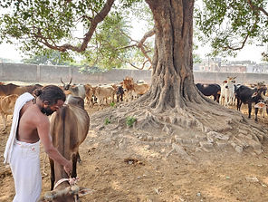 WhatsApp Image 2023-11-28 at 12.42.36_902ddc3f.jpg