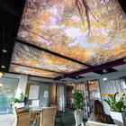 Dekoestate | 
DPS stretch ceilings | We have been also distributors of DPS stretch ceilings for over a dozen years. The manufacturer we represent offers (as one of the few suppliers of stretch ceilings) the highest quality products with all the required approvals and certificates. Therefore, our ceilings can be installed not only in residential premises, but also in all public facilities, including those demanding increased material safety requirements, such as office buildings, restaurants, airports, churches, hospitals, swimming pools, etc.