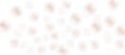 Back1.png