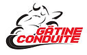 LOGO AUTO ECOLE GATINE_page-0001 (1).png