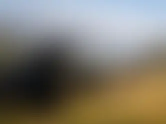 Black Angus aus Südamerika - was es so gut macht