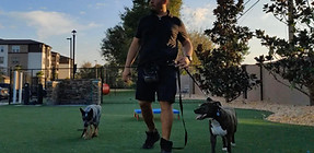 group class reactive dog training_edited.jpg