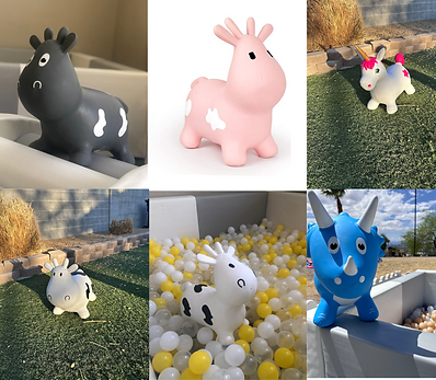 Bouncing Animals Collection