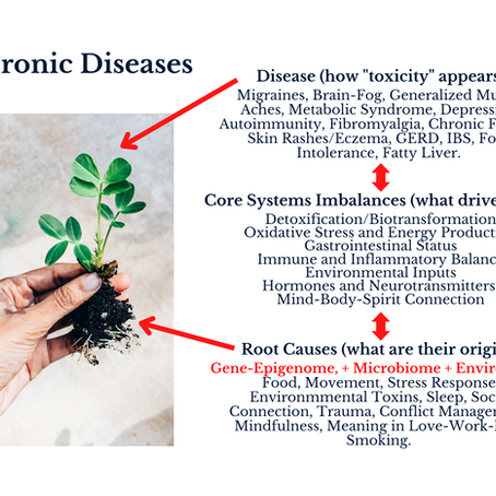 Your Microbiome and Gut Health