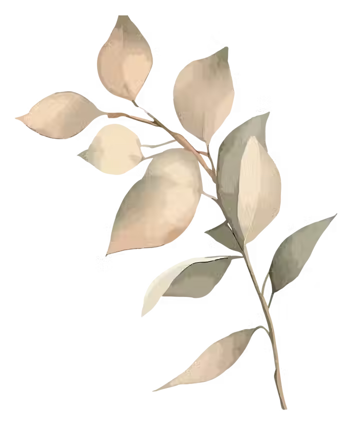 Botanical Branch Illustration.avif