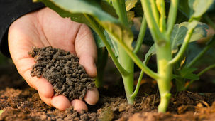 Agro-logistique : Lancement d'un terminal d'engrais multifonction à vocation régionale au G