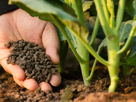 Agro-logistique : Lancement d'un terminal d'engrais multifonction  à vocation régionale au G