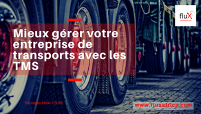 Conseils de Pro: Mieux gérer votre entreprise de transports avec les TMS