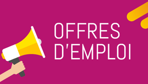 Offre d'Emploi: Commercial R-Logistic Group