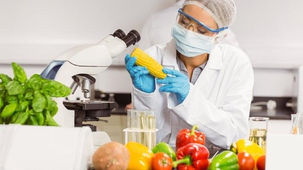 La communauté internationale se mobilise autour de la sécurité alimentaire à Genève en avril 2019
