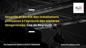 Sécurité et Sûreté des installations portuaires à l'épreuve des matières dangereuses:Cas de Beyrouth