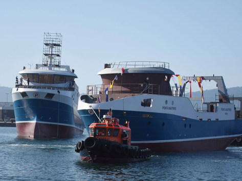 Commerce - Mozambique: Baisse des exportations de produits halieutiques en 2019