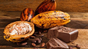 Commerce/Afrique: Le Cameroun va labeliser son cacao