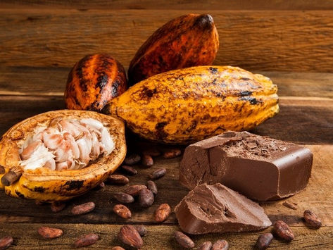 Commerce/Afrique: Le gouvernement camerounais promet des primes d’excellence aux cacaoculteurs