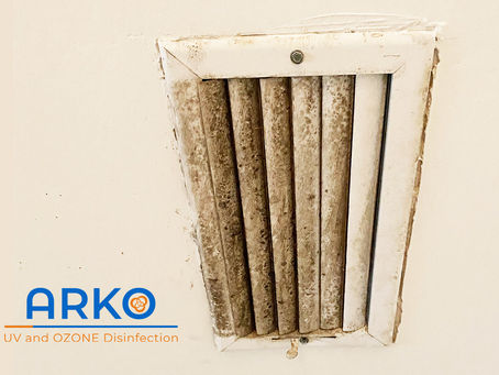 The Ultimate Guide to Mold Contamination Prevention