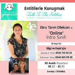 entitilerle konuşmak.jpeg