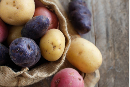 The Remarkable Journey of the Potato