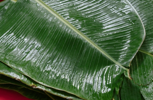 Sitting Down to the Sadhya