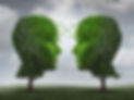 Green trees.jpg