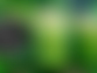 AGUÁ DE PEPINO E MELÃO