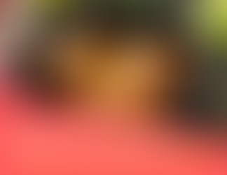 Frango assado com gengibre, mel e laranja