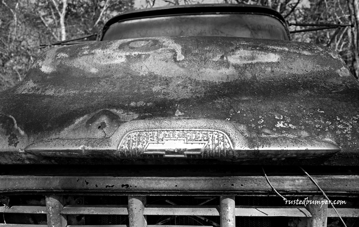 1956-Chevrolet-3800-Front-Badging-BW.gif