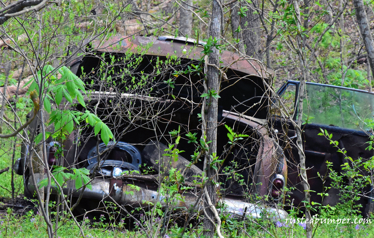 1952 Buick Super Eight 2D Rear Woods