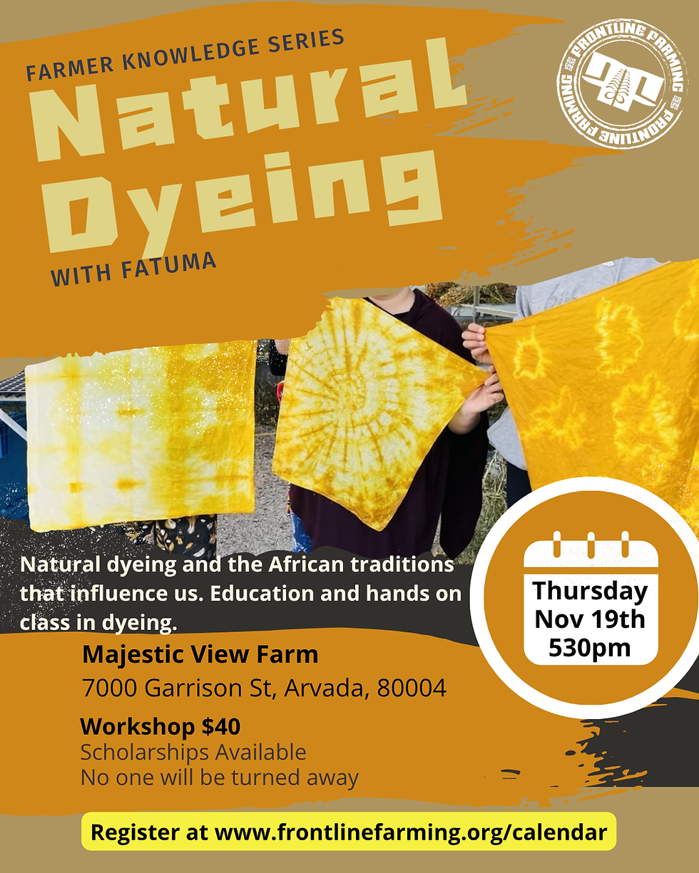 Natural Dyes Workshop