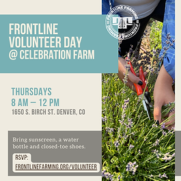 celebration-farm-volunteer-day-2026-10-08-08-00
