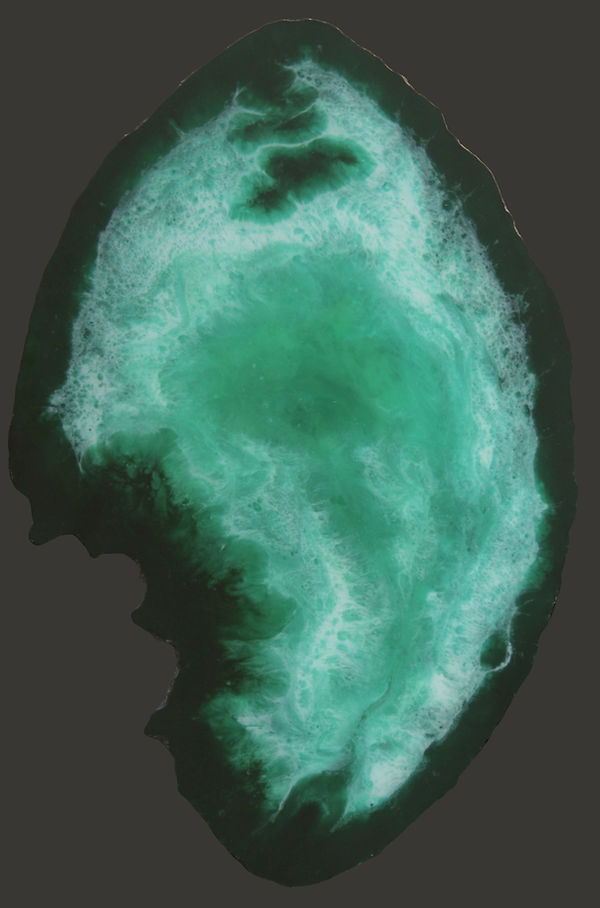 Structures of Life - Tide.jpg