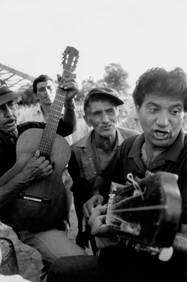 Los campos de algodón